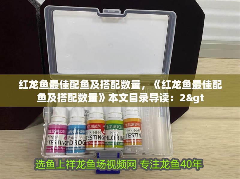 紅龍魚最佳配魚及搭配數量，《紅龍魚最佳配魚及搭配數量》本文目錄導讀：2&gt