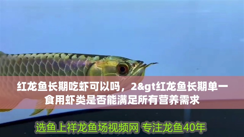 紅龍魚長期吃蝦可以嗎，2&gt紅龍魚長期單一食用蝦類是否能滿足所有營養需求