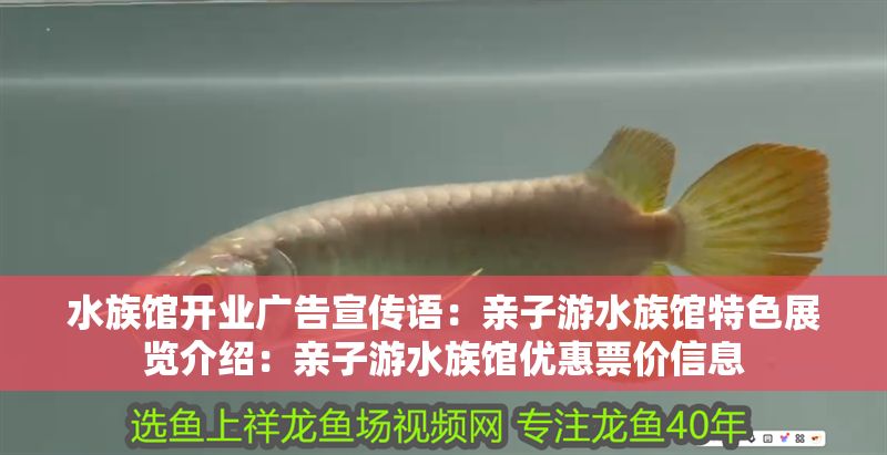 水族館開業廣告宣傳語：親子游水族館特色展覽介紹：親子游水族館優惠票價信息