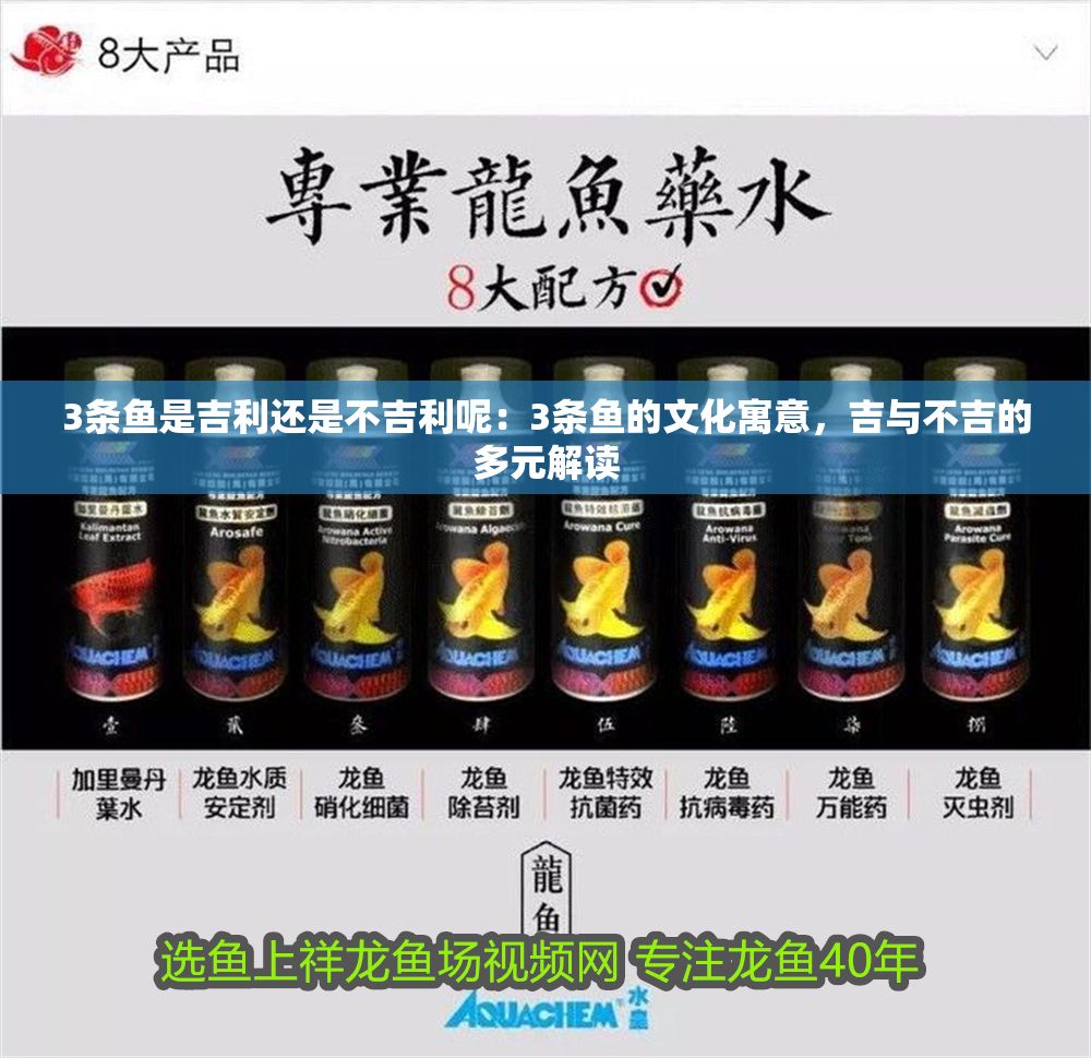 3條魚是吉利還是不吉利呢：3條魚的文化寓意，吉與不吉的多元解讀