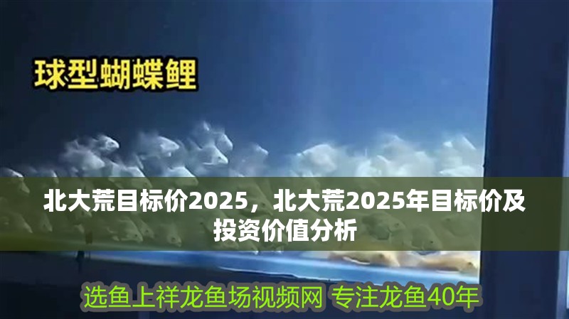 北大荒目標價2025，北大荒2025年目標價及投資價值分析