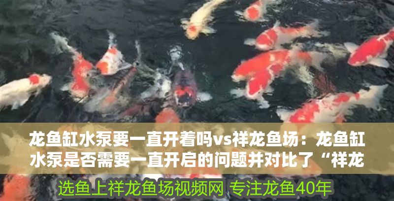龍魚缸水泵要一直開著嗎vs祥龍魚場：龍魚缸水泵是否需要一直開啟的問題并對比了“祥龍魚場”的觀點