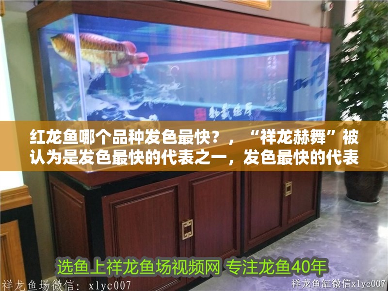 紅龍魚哪個品種發色最快？，“祥龍赫舞”被認為是發色最快的代表之一，發色最快的代表之一