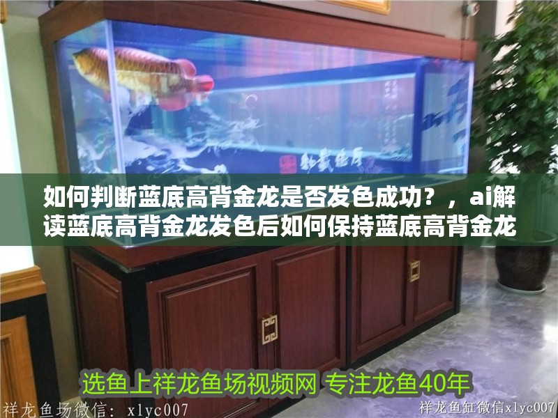 如何判斷藍底高背金龍是否發色成功？，ai解讀藍底高背金龍發色后如何保持藍底高背金龍發色
