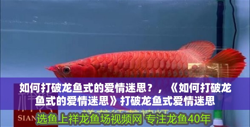 如何打破龍魚式的愛情迷思？，《如何打破龍魚式的愛情迷思》打破龍魚式愛情迷思