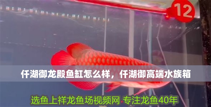 仟湖御龍殿魚缸怎么樣，仟湖御高端水族箱