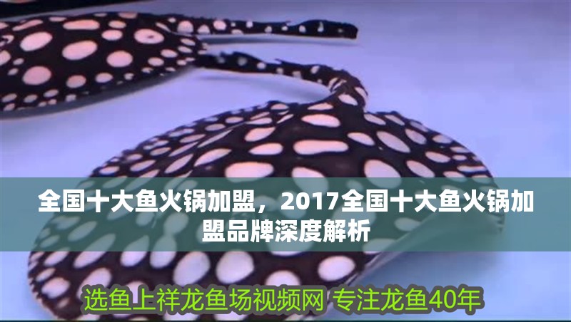 全國十大魚火鍋加盟，2017全國十大魚火鍋加盟品牌深度解析