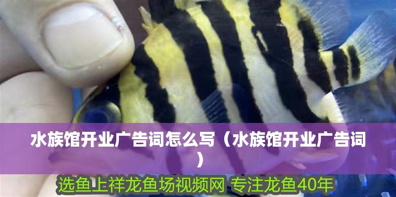 水族館開業廣告詞怎么寫（水族館開業廣告詞）