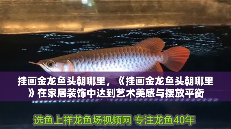掛畫金龍魚頭朝哪里，《掛畫金龍魚頭朝哪里》在家居裝飾中達到藝術美感與擺放平衡