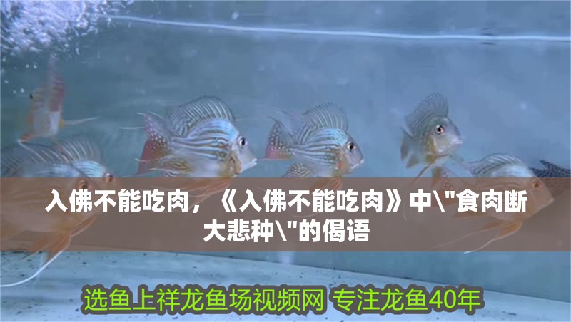 入佛不能吃肉，《入佛不能吃肉》中 入佛不能吃肉，《入佛不能吃肉》中\(zhòng)