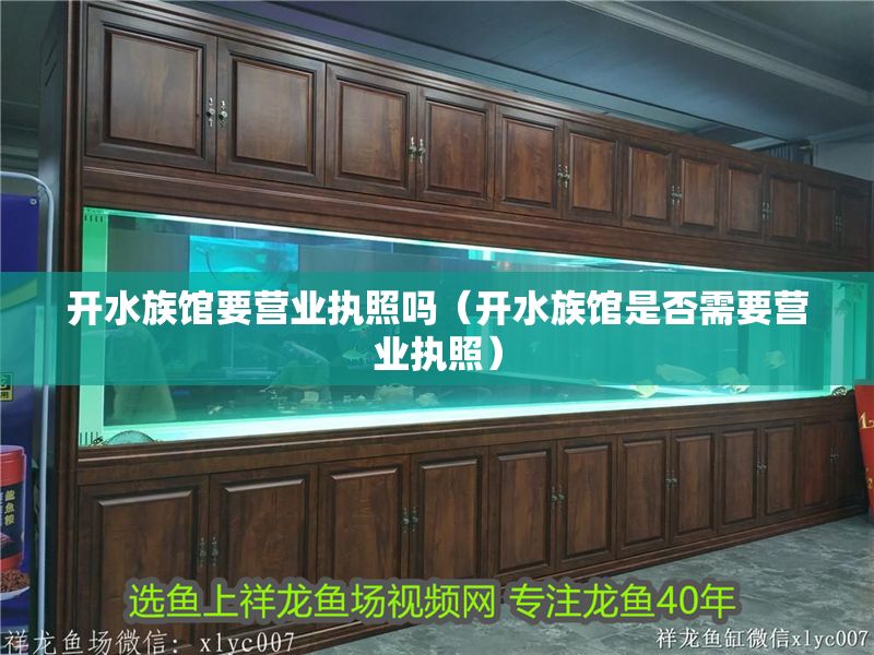 開水族館要營(yíng)業(yè)執(zhí)照嗎（開水族館是否需要營(yíng)業(yè)執(zhí)照） 開水族館要營(yíng)業(yè)執(zhí)照嗎（開水族館是否需要營(yíng)業(yè)執(zhí)照） 水族館百科（水族館加盟） 第1張