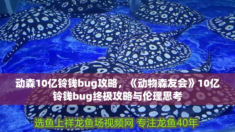 動森10億鈴錢bug攻略，《動物森友會》10億鈴錢bug終極攻略與倫理思考