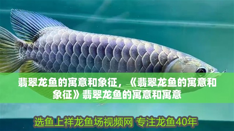 翡翠龍魚的寓意和象征，《翡翠龍魚的寓意和象征》翡翠龍魚的寓意和寓意
