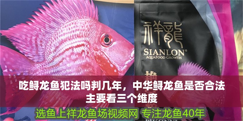 吃鱘龍魚犯法嗎判幾年，中華鱘龍魚是否合法主要看三個維度