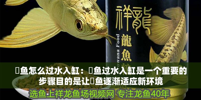 魟魚怎么過水入缸：魟魚過水入缸是一個重要的步驟目的是讓魟魚逐漸適應新環境