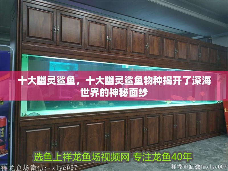 十大幽靈鯊魚，十大幽靈鯊魚物種揭開了深海世界的神秘面紗