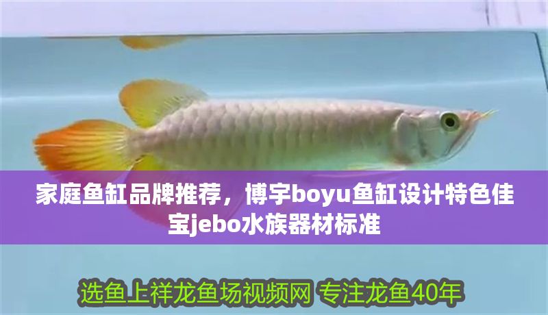 家庭魚缸品牌推薦，博宇boyu魚缸設計特色佳寶jebo水族器材標準