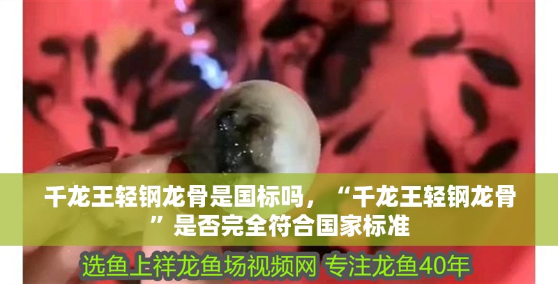千龍王輕鋼龍骨是國標嗎，“千龍王輕鋼龍骨”是否完全符合國家標準