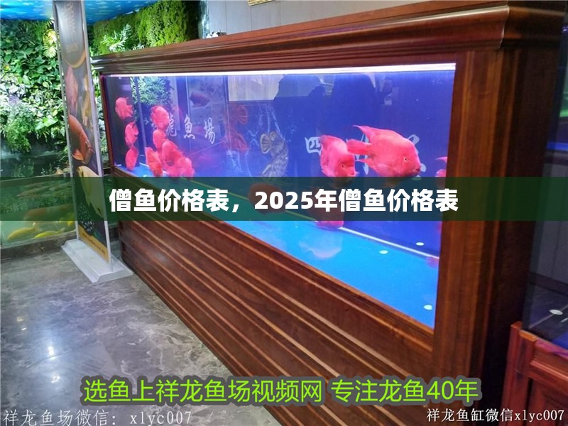 僧魚價格表，2025年僧魚價格表