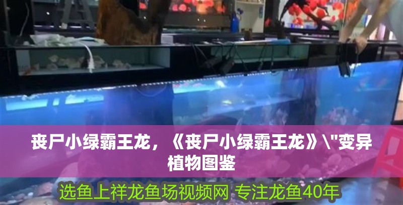 喪尸小綠霸王龍，《喪尸小綠霸王龍》\