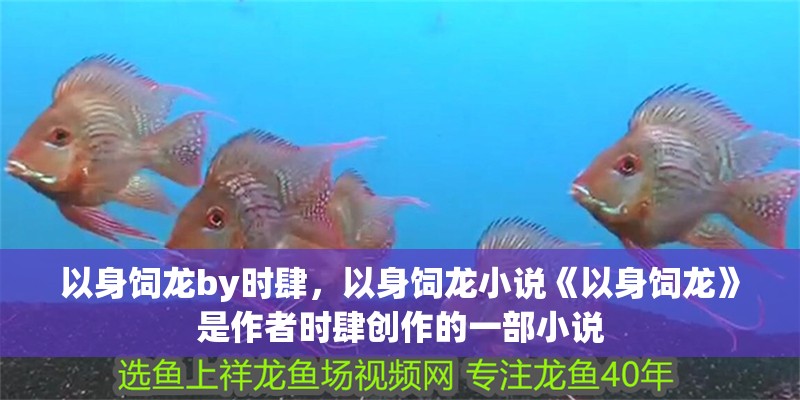 以身飼龍by時肆，以身飼龍小說《以身飼龍》是作者時肆創作的一部小說