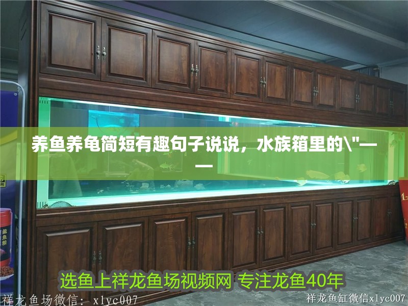 養魚養龜簡短有趣句子說說，水族箱里的\