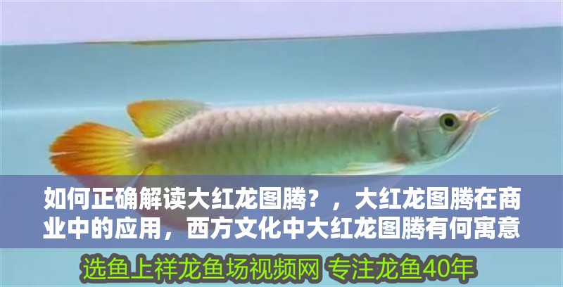 如何正確解讀大紅龍圖騰？，大紅龍圖騰在商業(yè)中的應(yīng)用，西方文化中大紅龍圖騰有何寓意？