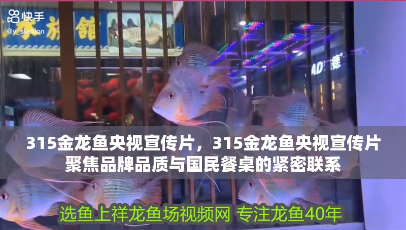 315金龍魚央視宣傳片，315金龍魚央視宣傳片聚焦品牌品質(zhì)與國民餐桌的緊密聯(lián)系