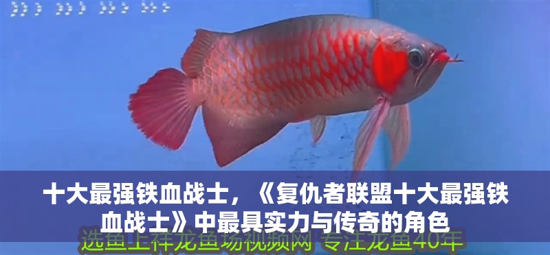 十大最強鐵血戰士，《復仇者聯盟十大最強鐵血戰士》中最具實力與傳奇的角色