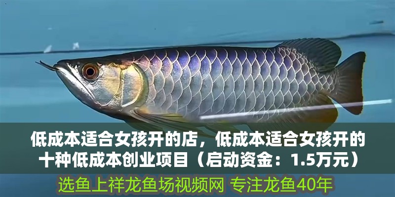 低成本適合女孩開的店，低成本適合女孩開的十種低成本創業項目（啟動資金：1.5萬元）