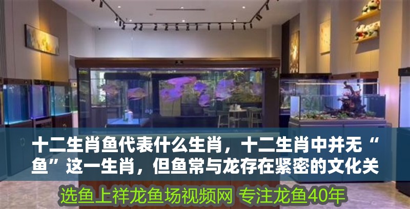 十二生肖魚代表什么生肖，十二生肖中并無“魚”這一生肖，但魚常與龍存在緊密的文化關聯