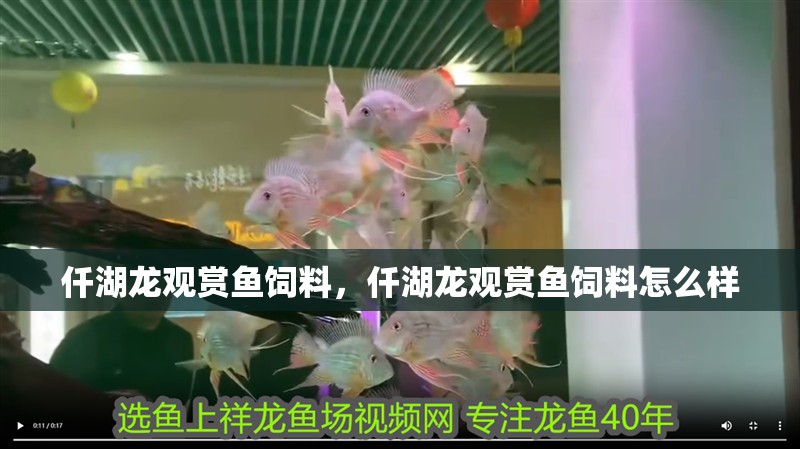 仟湖龍觀賞魚飼料，仟湖龍觀賞魚飼料怎么樣