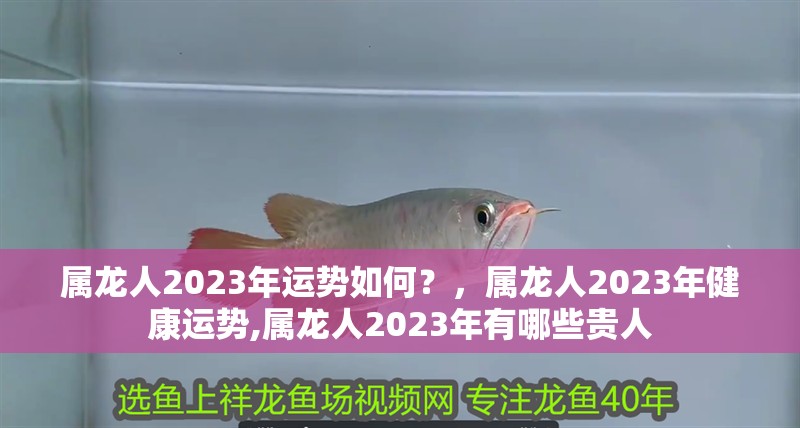 屬龍人2023年運勢如何？，屬龍人2023年健康運勢,屬龍人2023年有哪些貴人 屬龍人2023年運勢如何？，屬龍人2023年健康運勢,屬龍人2023年有哪些貴人 龍魚論壇