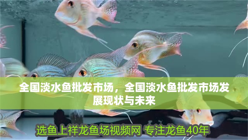 全國淡水魚批發(fā)市場，全國淡水魚批發(fā)市場發(fā)展現(xiàn)狀與未來