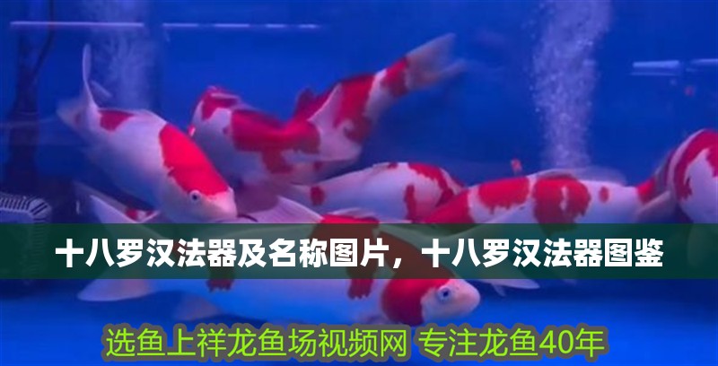 十八羅漢法器及名稱圖片，十八羅漢法器圖鑒