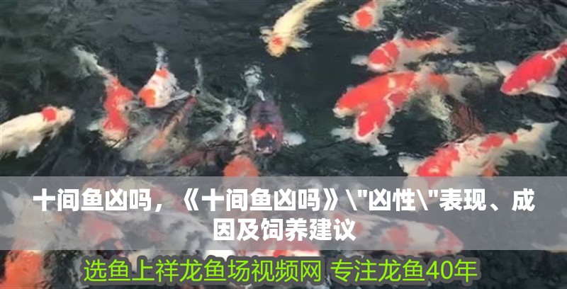 玻璃做魚缸怎么粘才牢固:如何自制玻璃魚缸 十間魚兇嗎,《十間魚兇嗎》\ 十間魚兇嗎,《十間魚兇嗎》 十間魚兇嗎,《十間魚兇嗎》\