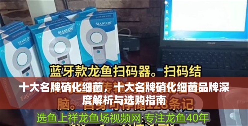 十大名牌硝化細菌，十大名牌硝化細菌品牌深度解析與選購指南