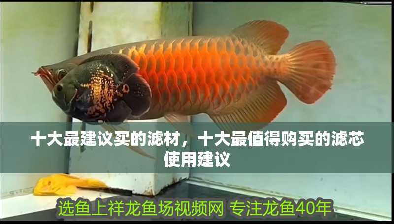 詳細閱讀:十大最建議買的濾材,十大最值得購買的濾芯使用建議 十大最建議買的濾材,十大最值得購買的濾芯使用建議