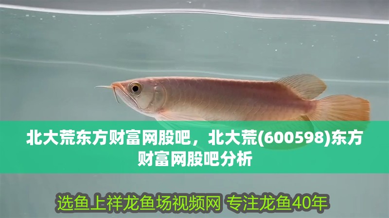 北大荒東方財富網(wǎng)股吧，北大荒(600598)東方財富網(wǎng)股吧分析