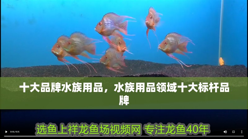 十大品牌水族用品，水族用品領域十大標桿品牌