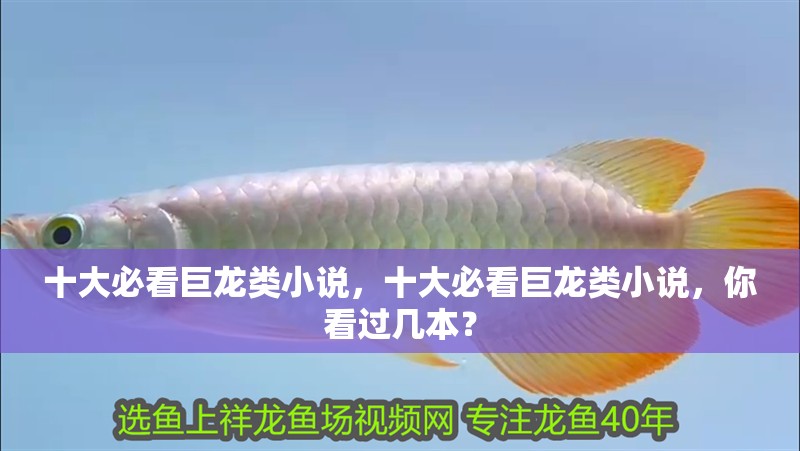 十大必看巨龍類小說，十大必看巨龍類小說，你看過幾本？