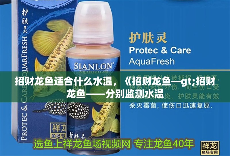 招財龍魚適合什么水溫，《招財龍魚—gt;招財龍魚——分別監測水溫