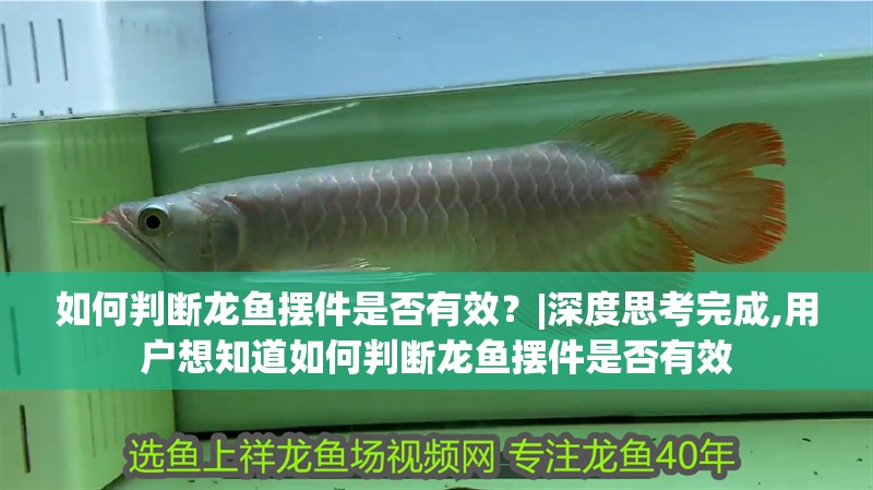如何判斷龍魚擺件是否有效？|深度思考完成,用戶想知道如何判斷龍魚擺件是否有效