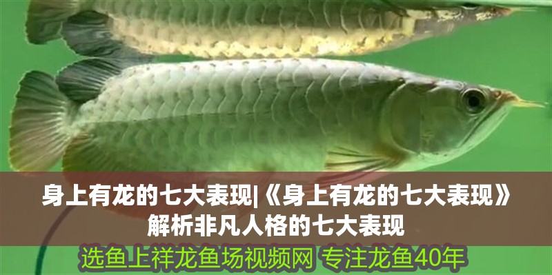 身上有龍的七大表現|《身上有龍的七大表現》解析非凡人格的七大表現