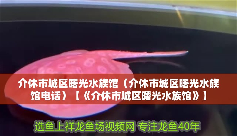 介休市城區(qū)曙光水族館（介休市城區(qū)曙光水族館電話）【《介休市城區(qū)曙光水族館》】