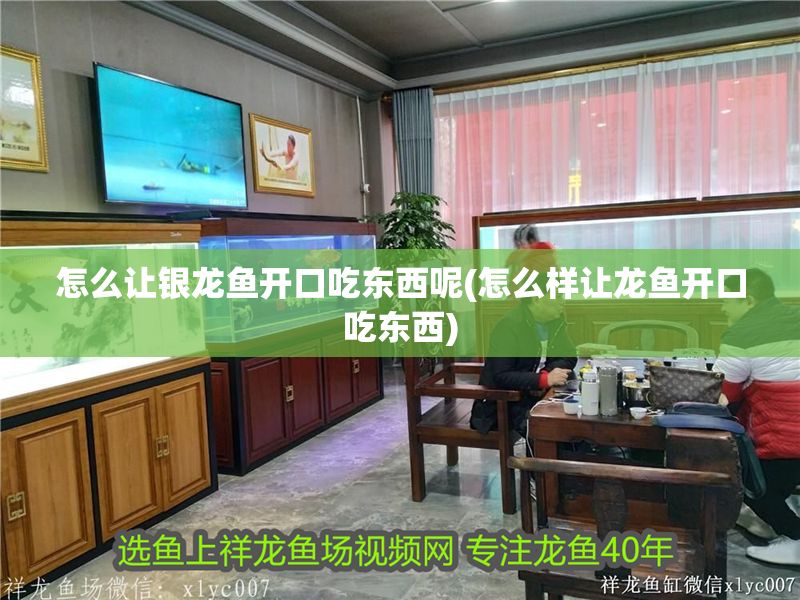 怎么讓銀龍魚開口吃東西呢(怎么樣讓龍魚開口吃東西)