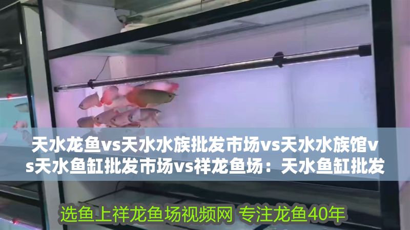 天水龍魚vs天水水族批發市場vs天水水族館vs天水魚缸批發市場vs祥龍魚場：天水魚缸批發市場