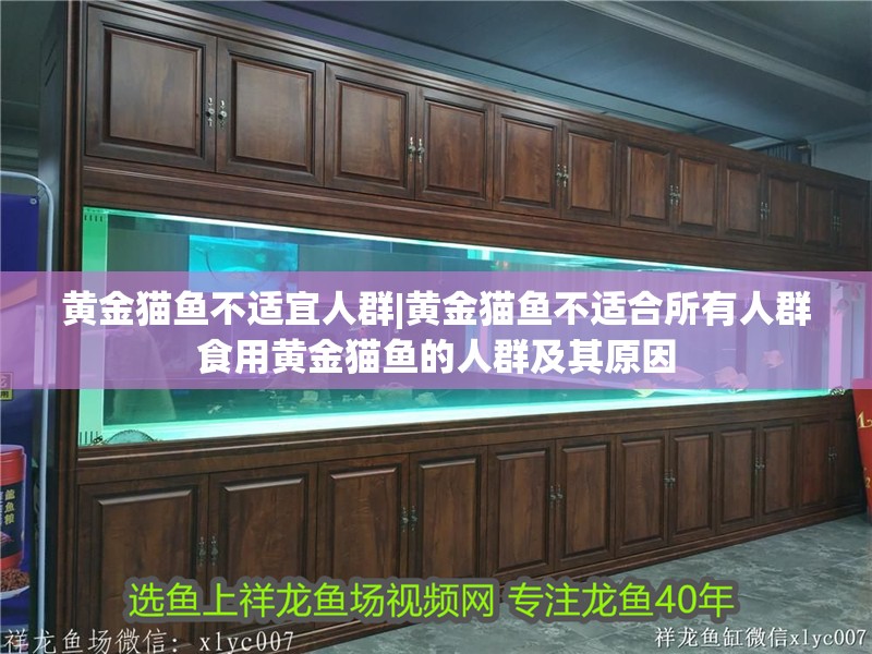 黃金貓魚不適宜人群|黃金貓魚不適合所有人群食用黃金貓魚的人群及其原因