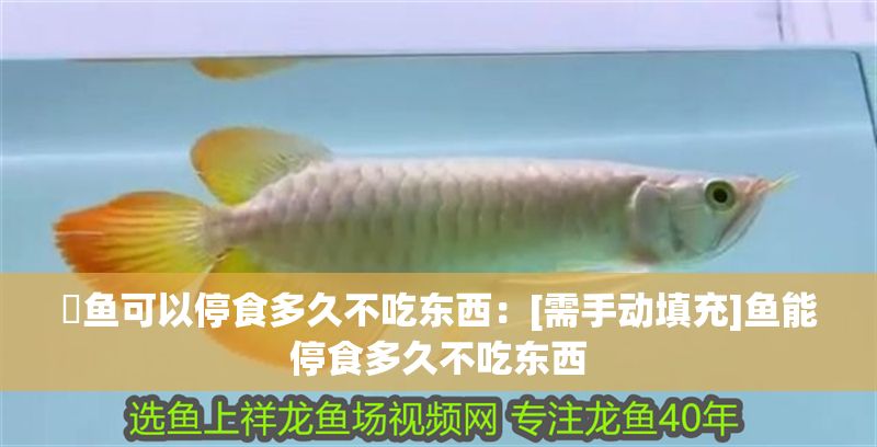 魟魚可以停食多久不吃東西：[需手動填充]魚能停食多久不吃東西