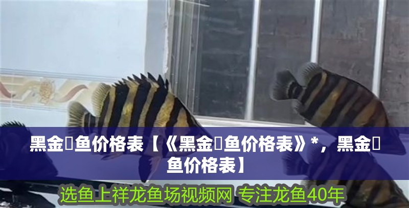 黑金魟魚價格表【《黑金魟魚價格表》*，黑金魟魚價格表】